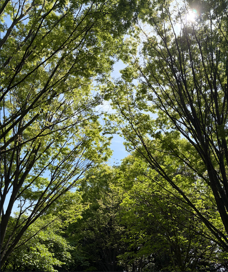 イメージ画像